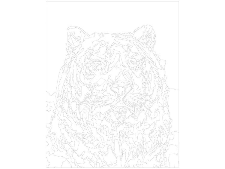 Картина по номерам «Белый тигр» — картинка 3