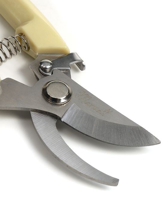 Секатор Maxwell изогнутое лезвие, 55/180 мм, ручки беж. пластик — картинка 5