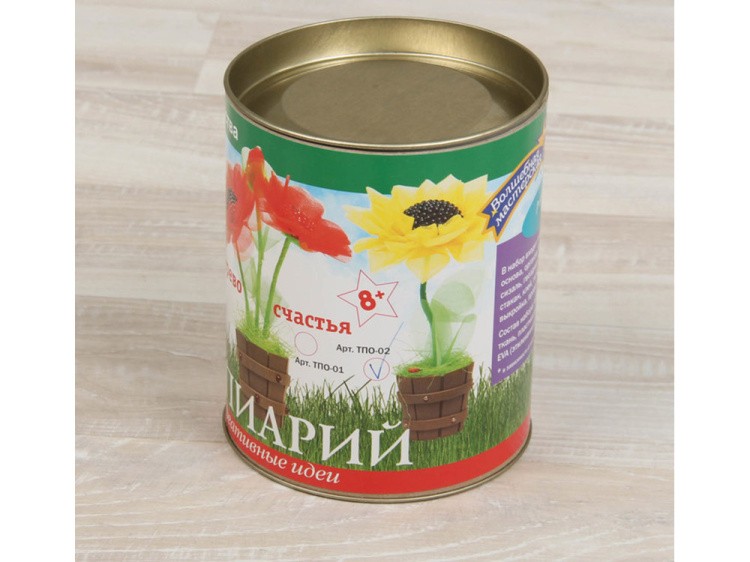 Набор для создания топиария «Солнечный» — картинка 3