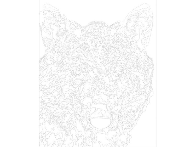 Картина по номерам «Чёрно-белый волк» — картинка 3