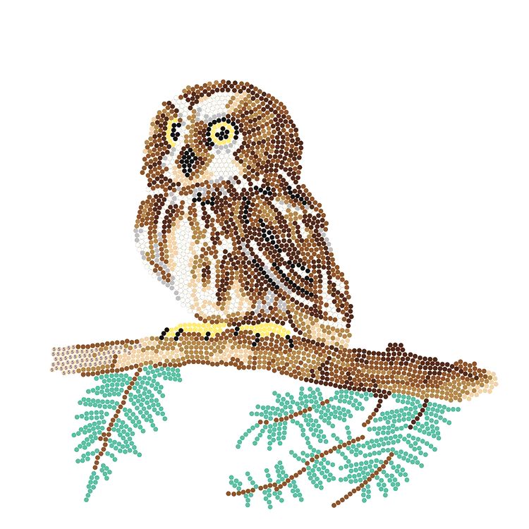 Алмазная вышивка «Совенок на ветке» — картинка 2