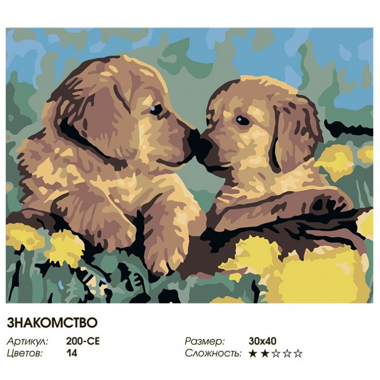 Картина по номерам «Знакомство» — картинка 2