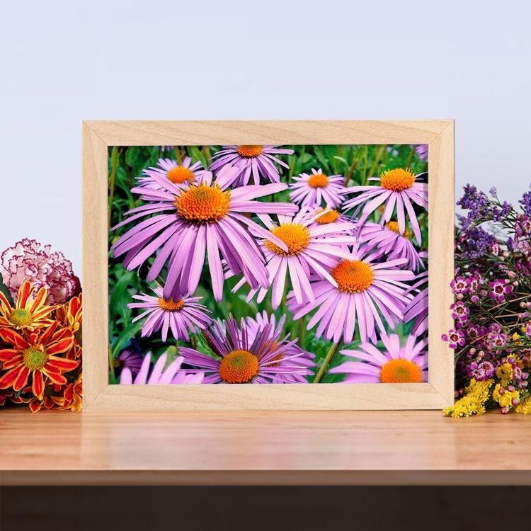 Алмазная вышивка «Сиреневые ромашки» — картинка 2