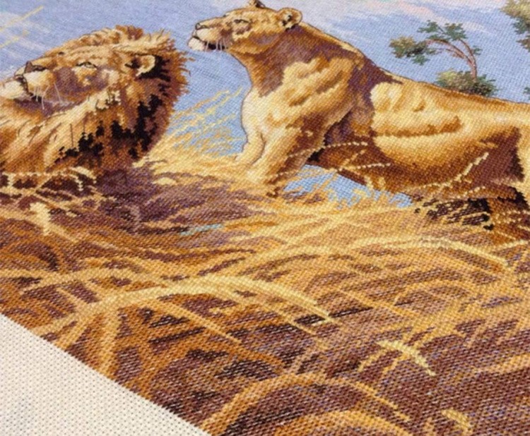 Набор для вышивания «Африканские львы» — картинка 3