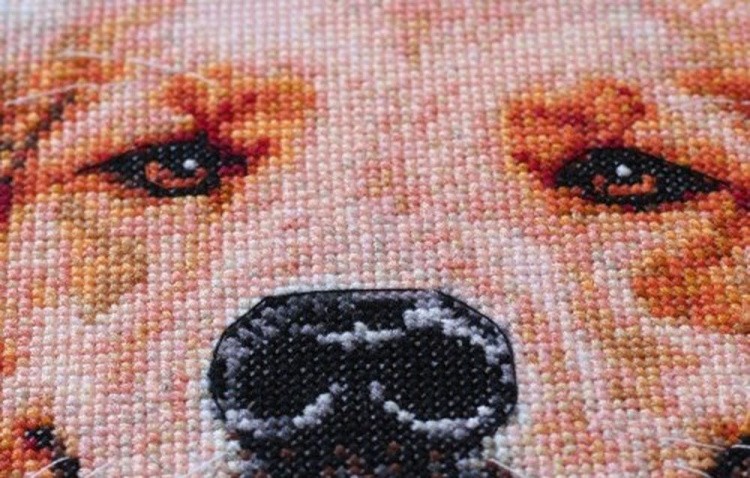 Набор для вышивания «Друг» — картинка 2