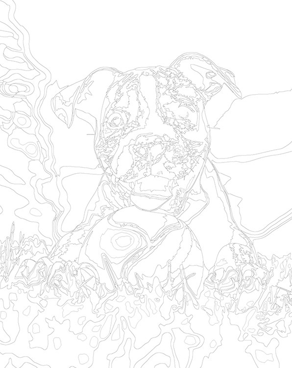 Картина по номерам «Собака Стаффорд (Стаффордширский терьер) щенок 2» — картинка 3