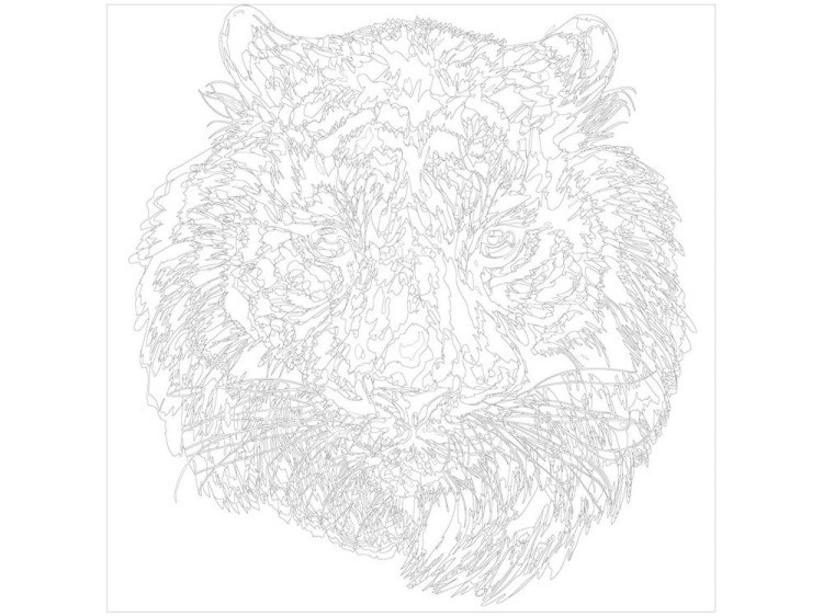 Картина по номерам «Голова тигра» — картинка 3