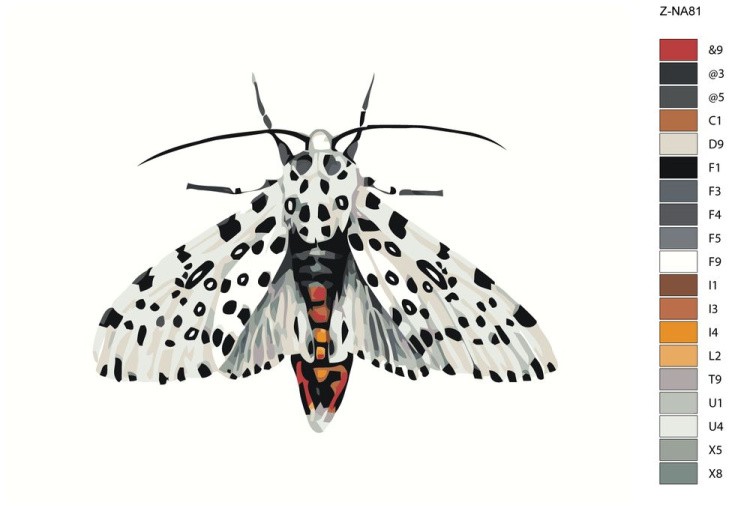 Картина по номерам «Мотылек» — картинка 2