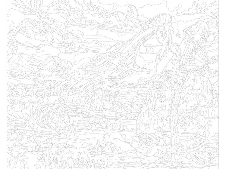 Картина по номерам «Африканки» — картинка 3