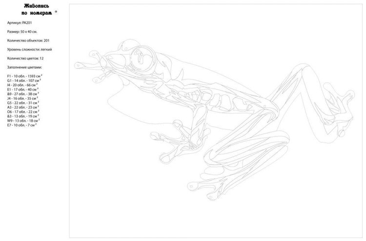 Картина по номерам «Радужная лягушка» — картинка 3