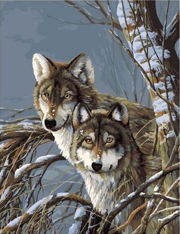 Картина по номерам «Два волка»