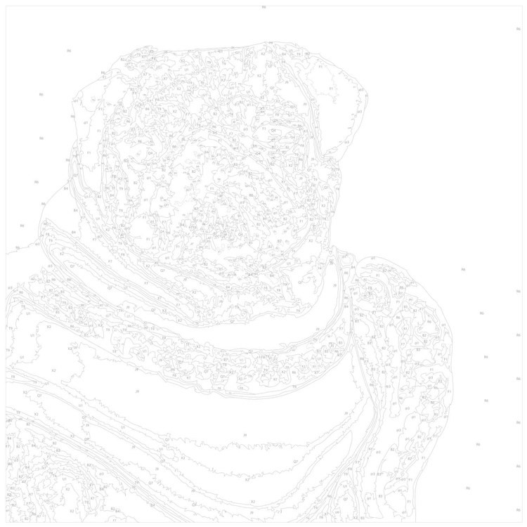 Картина по номерам «Королевский мопс» — картинка 3