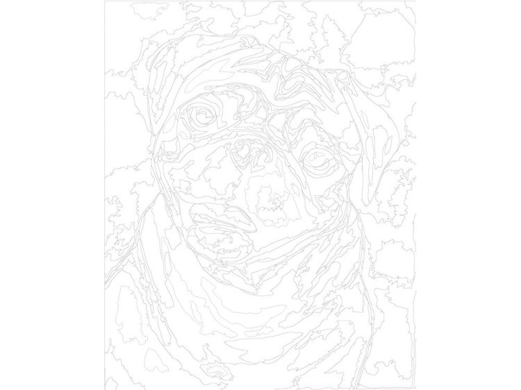 Картина по номерам «Мопс» — картинка 3