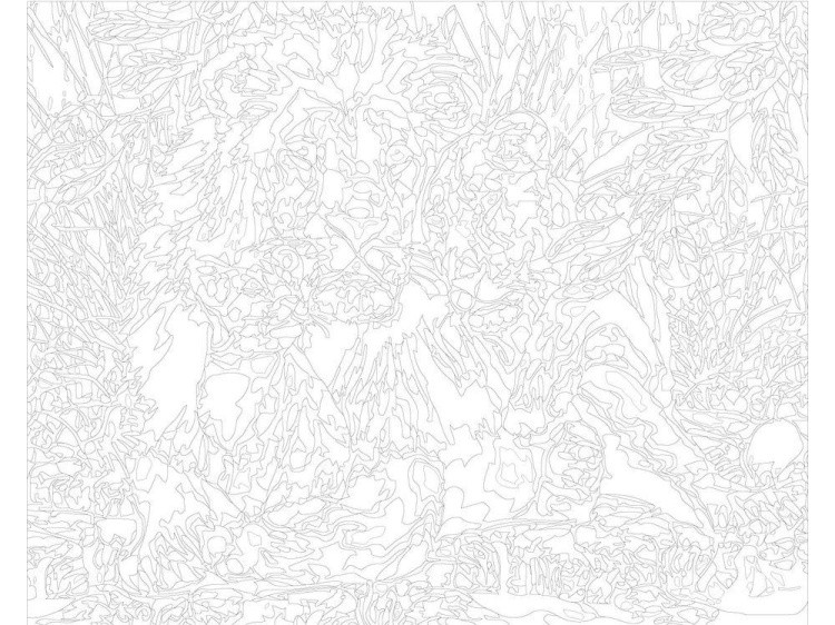 Картина по номерам «Львиное семейство» — картинка 3