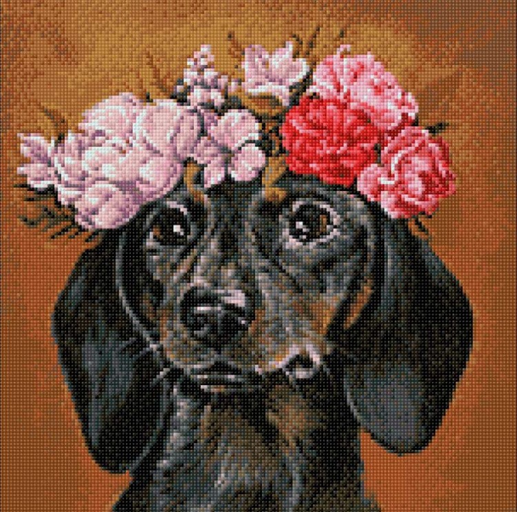 Алмазная вышивка «Такса в цветах» — картинка 2