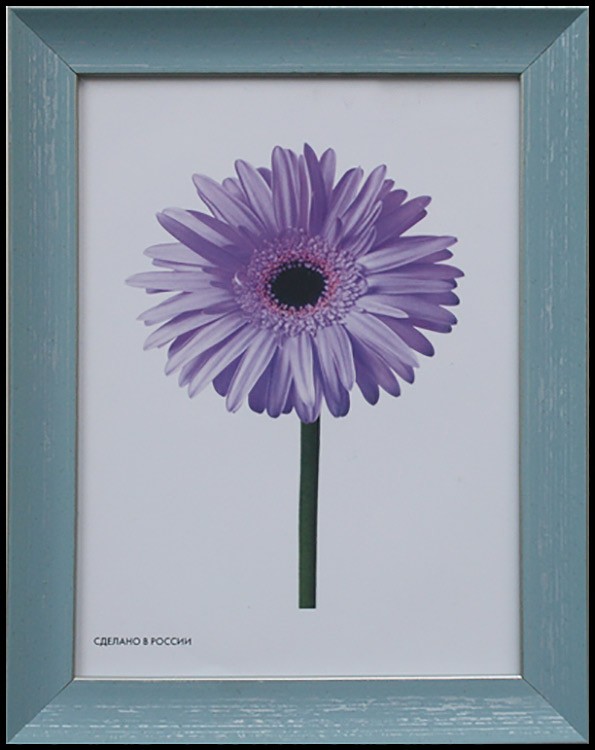 Рамка для картин «Jasmin» — картинка 4