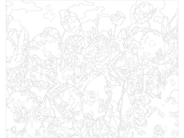 Картина по номерам «Красные маки» — картинка 3