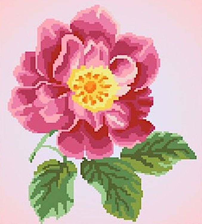 Рисунок на ткани «Цветок шиповника»