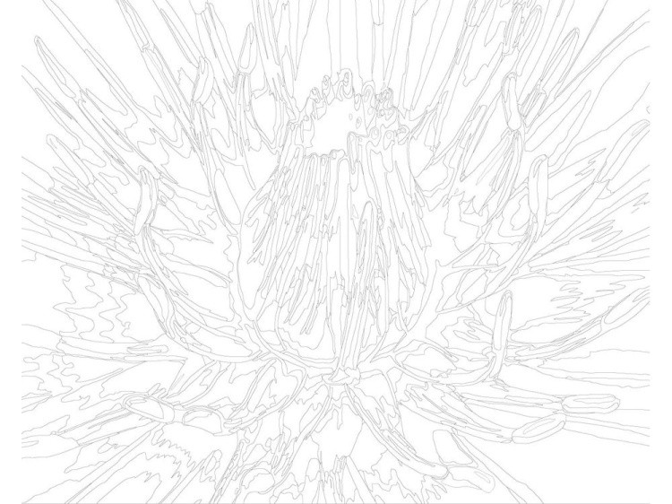 Картина по номерам «Фиолетовый цветок» — картинка 3