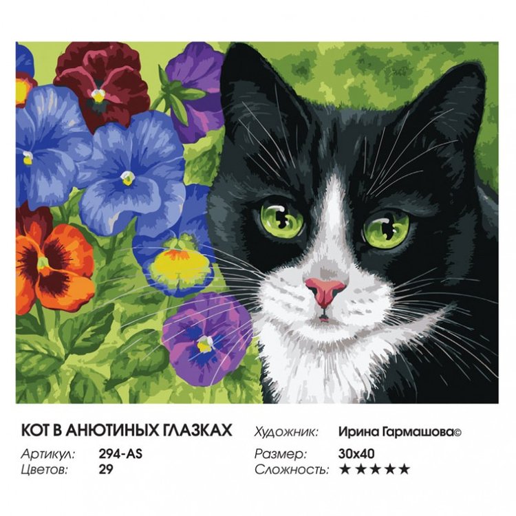 Картина по номерам «Кот в анютиных глазках» — картинка 2