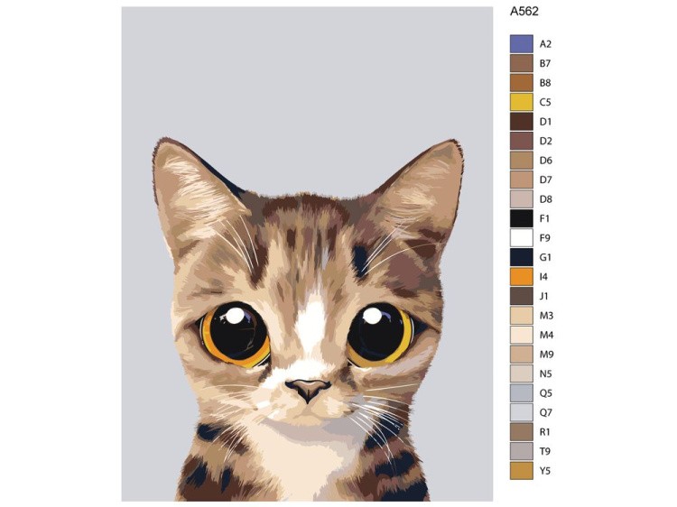 Картина по номерам «Шери» — картинка 2