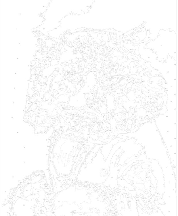 Картина по номерам «Кот придворный» — картинка 3