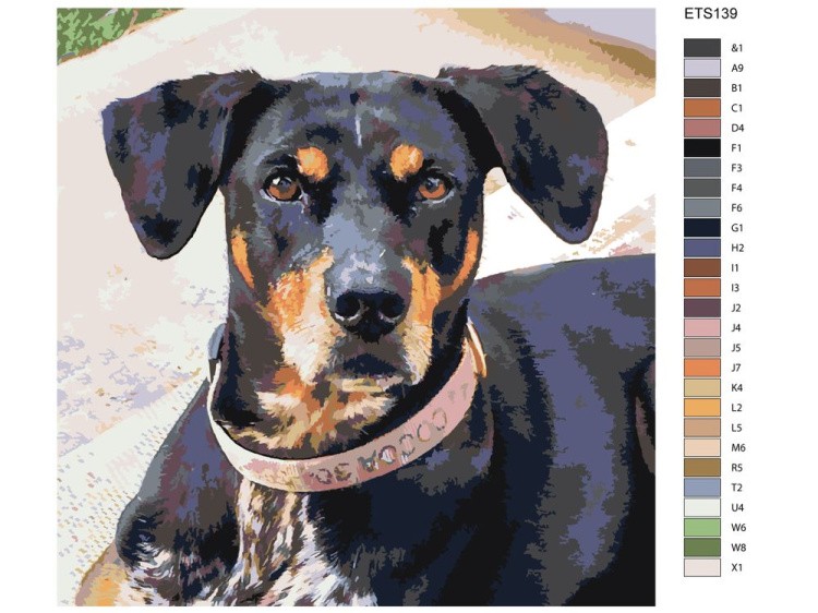 Картина по номерам «Пинчер Карл» — картинка 2