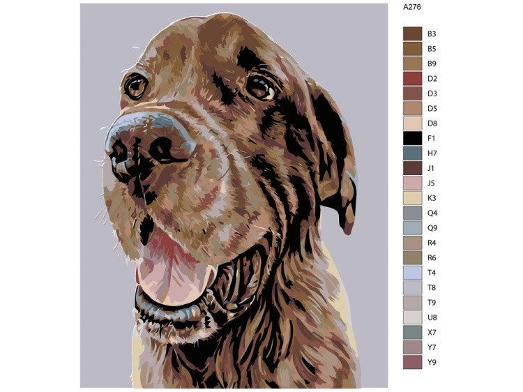 Картина по номерам «Ясон» — картинка 2