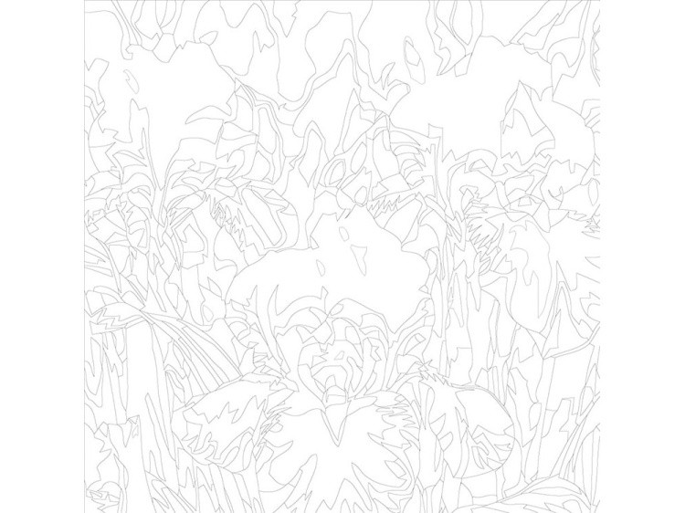 Картина по номерам «Ирисы» — картинка 3