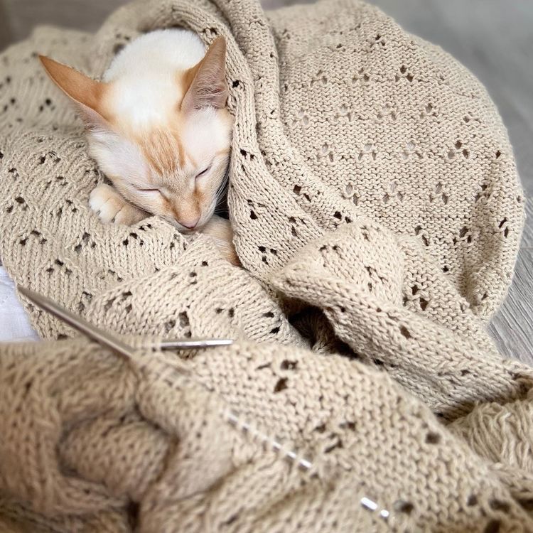 Пряжа Камтекс Ананасовая (056), розовый, 5 шт. по 100 г — картинка 4