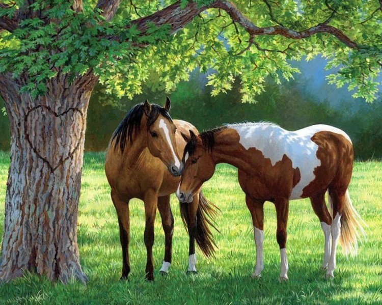 Алмазная вышивка «Пара» — картинка 2