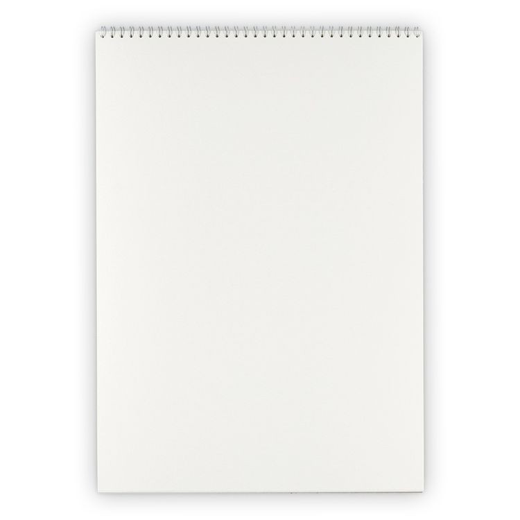 Альбом для акварели 30х40 см, гознак, на спирали, , 20 листов — картинка 2