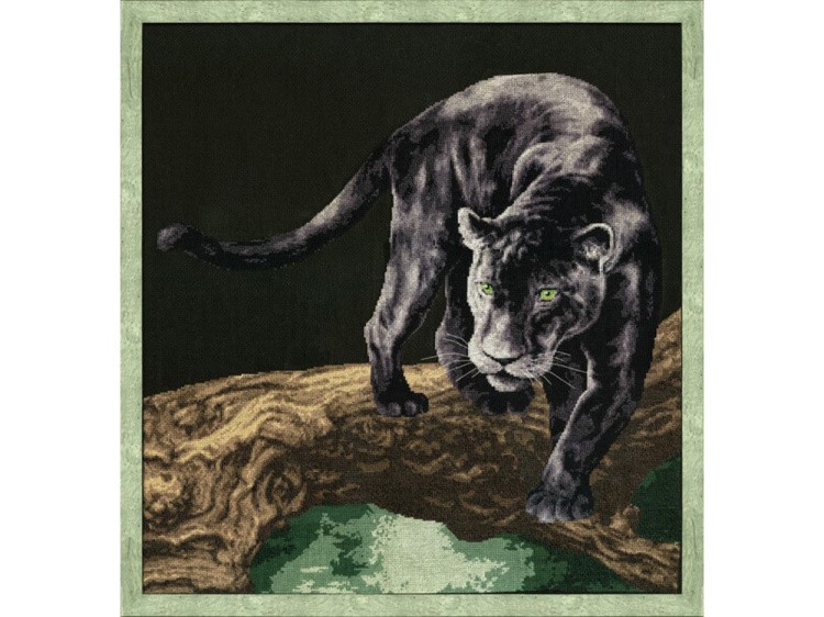 Набор для вышивания «Королева ночи» — картинка 2