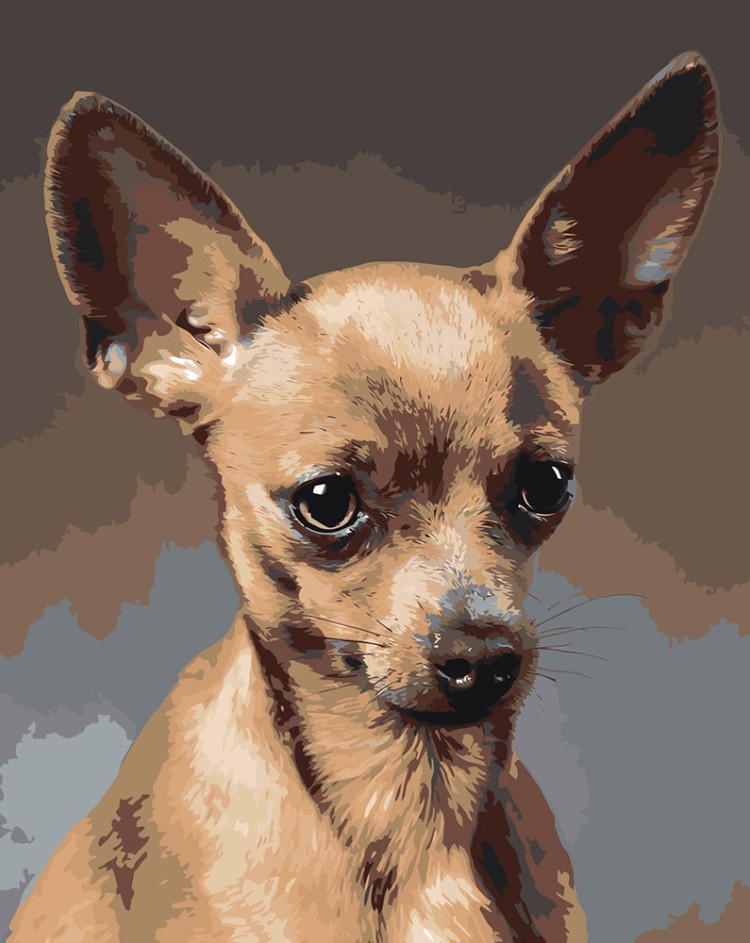 Картина по номерам «Собаки: Той терьер 40x50»