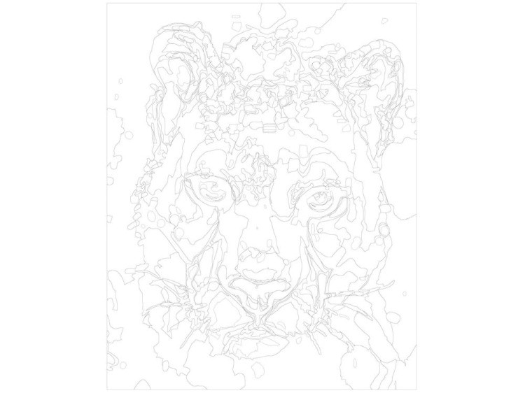 Картина по номерам «Голубоглазая пума» — картинка 3