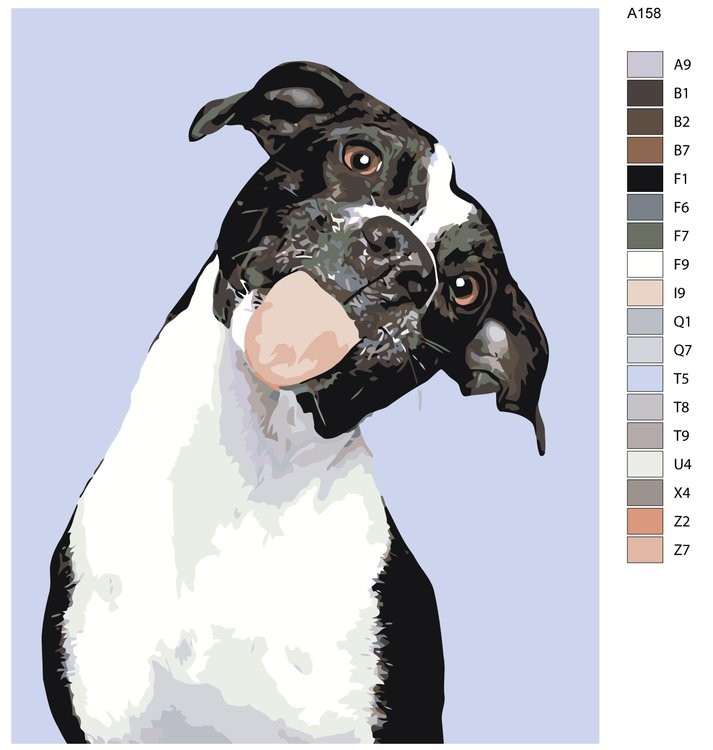 Картина по номерам «Куки» — картинка 2