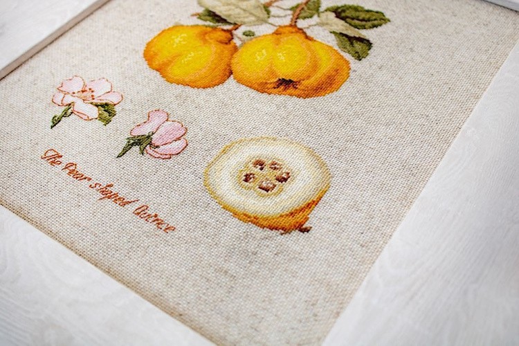 Набор для вышивания «Айва» — картинка 2