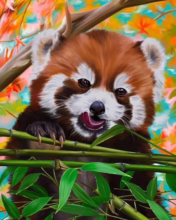 Картина по номерам «Красная панда»