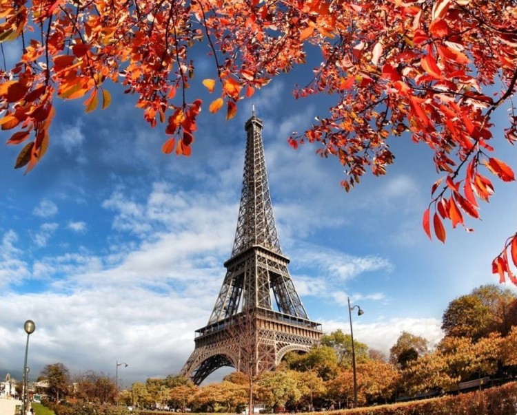 Картина по номерам «Эйфелева башня» — картинка 2