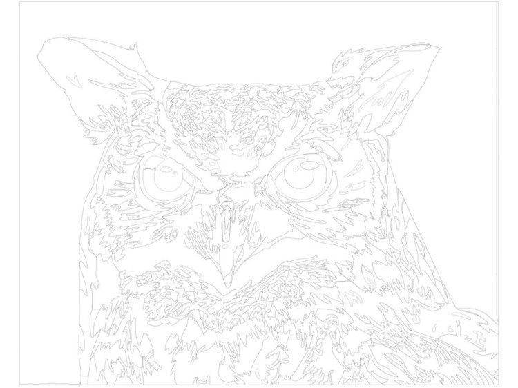 Картина по номерам «Разноцветная сова» — картинка 3