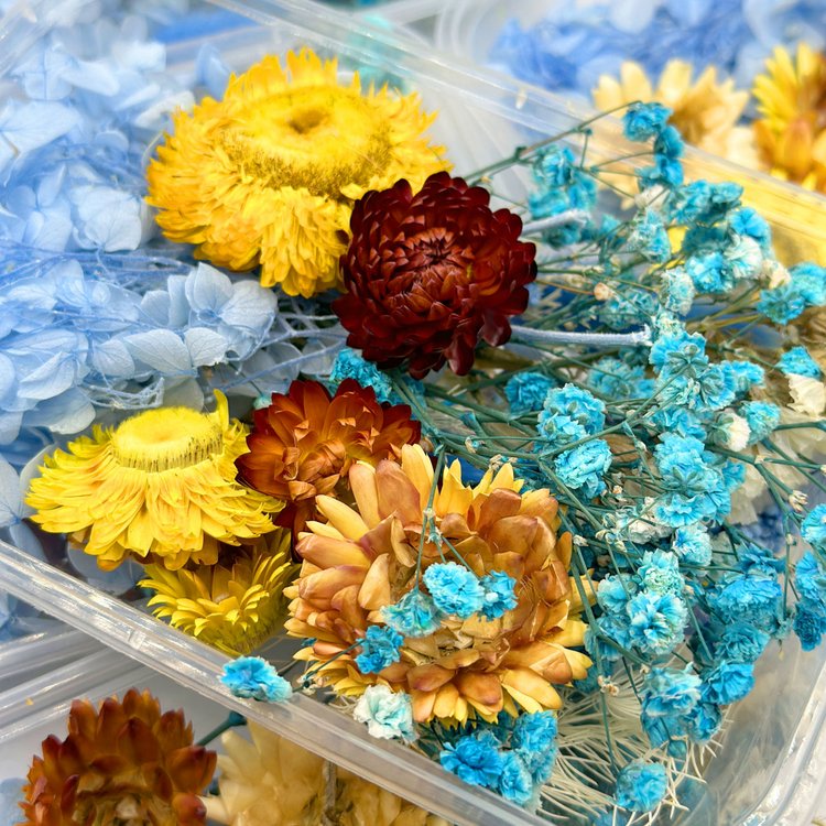 Набор сухоцветов №4, 1 упаковка — картинка 2