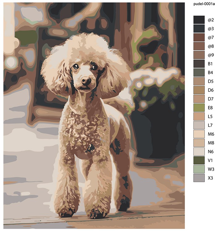 Картина по номерам «Собака пудель на улице 40х50» — картинка 2