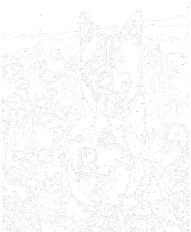 Картина по номерам «Две собаки в цветочном поле» — картинка 3