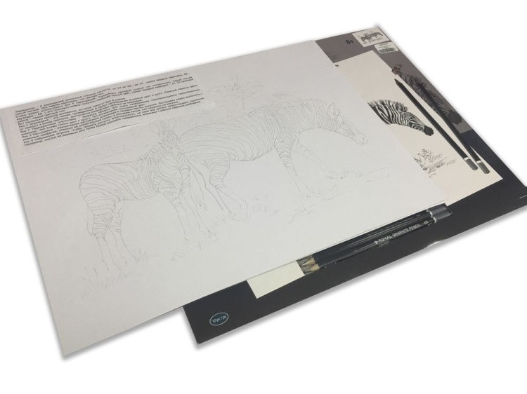 Набор для скетчинга «Далматины» — картинка 5