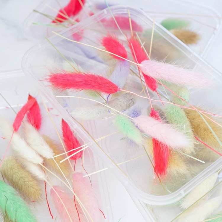 Сухоцветы Лагурус, 1 упаковка — картинка 2