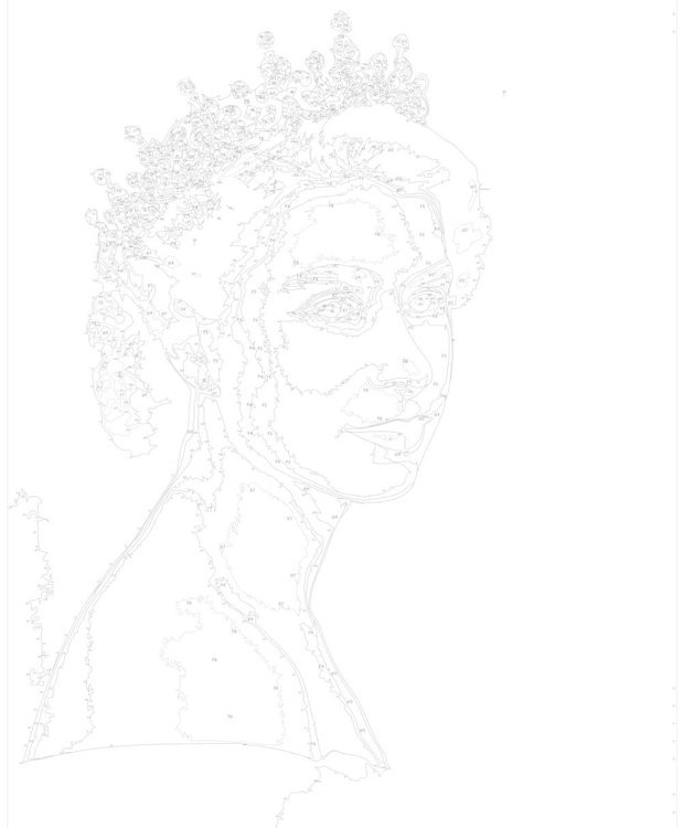 Картина по номерам «Королева Елизавета» — картинка 3