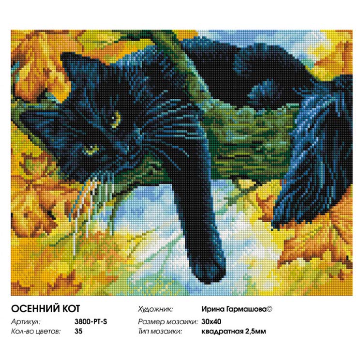 Алмазная вышивка «Осенний кот» — картинка 2