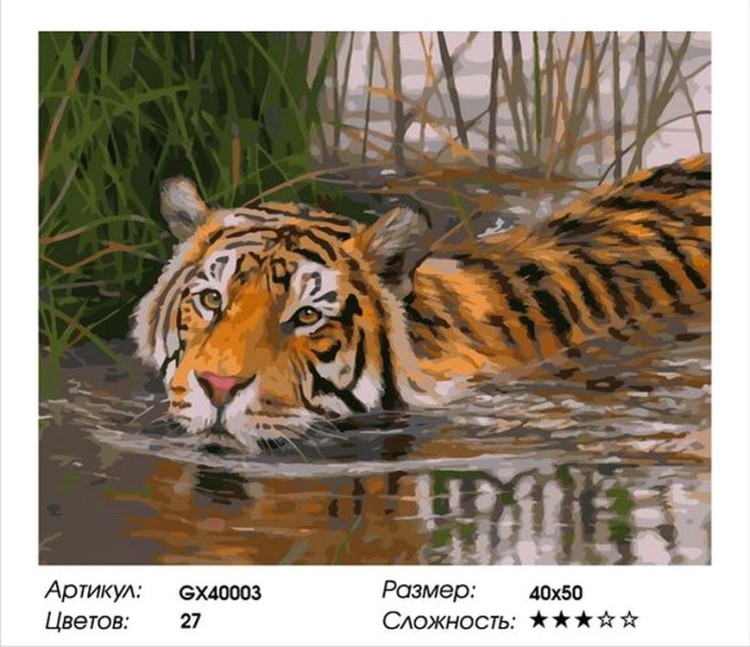 Картина по номерам «Тигр в воде» — картинка 2