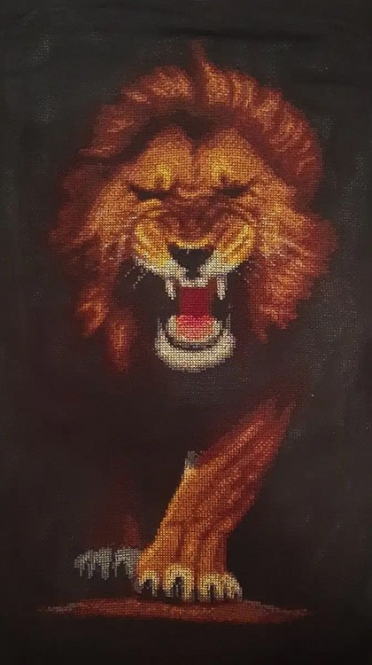 Набор для вышивания «Хищники. Лев» — картинка 2