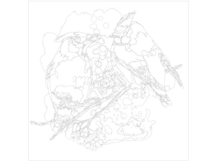 Картина по номерам «Птицы на ветке» — картинка 3